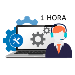 Hora de Soporte Técnico